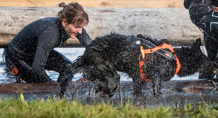 Jag och min hund i ett vattenhinder i tävlingen MuddyPaws - en tävling där förare och hund ska genom en massa hinder tillsammans