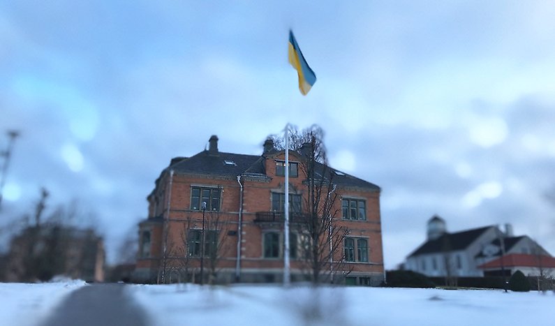 Ukrainska flaggan hissad utanför stadshuset Gröna Kulle. 